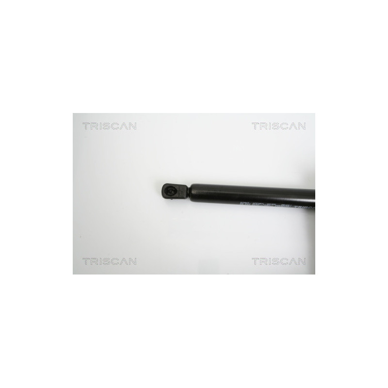 Vérin de coffre / hayon TRISCAN