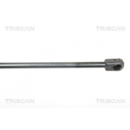 Vérin de coffre / hayon TRISCAN