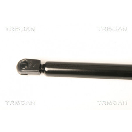 Vérin de coffre / hayon TRISCAN