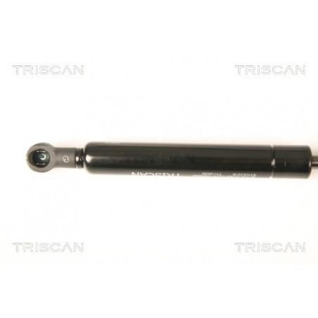 Vérin de coffre / hayon TRISCAN