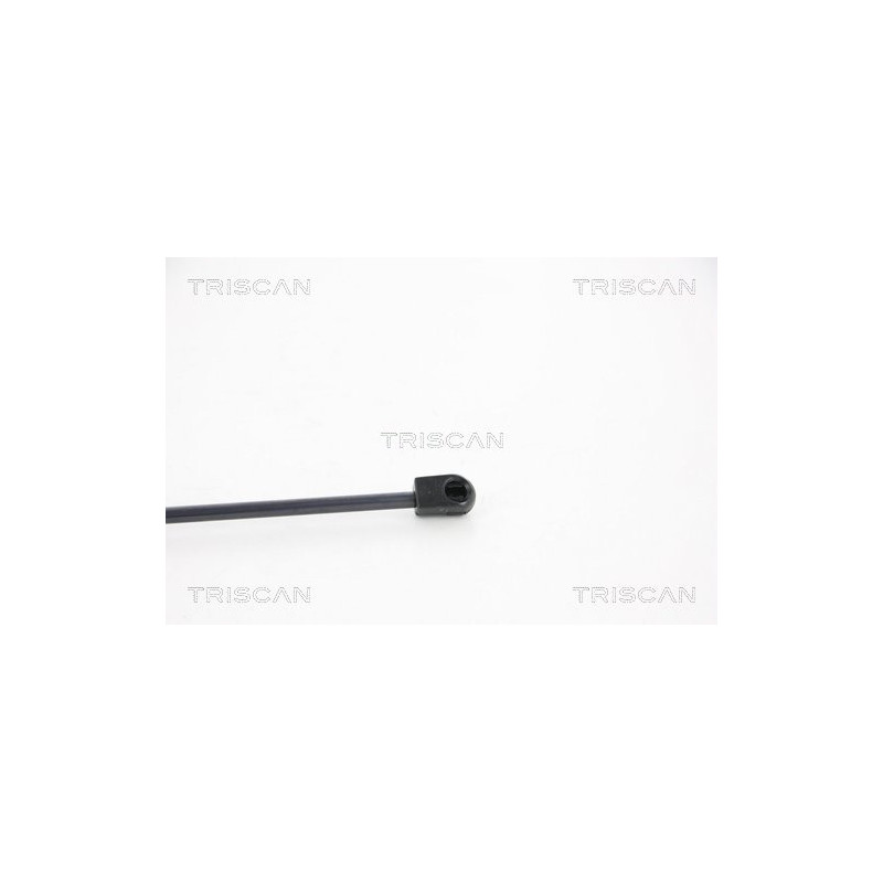 Vérin de coffre / hayon TRISCAN