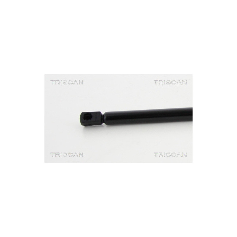 Vérin de coffre / hayon TRISCAN