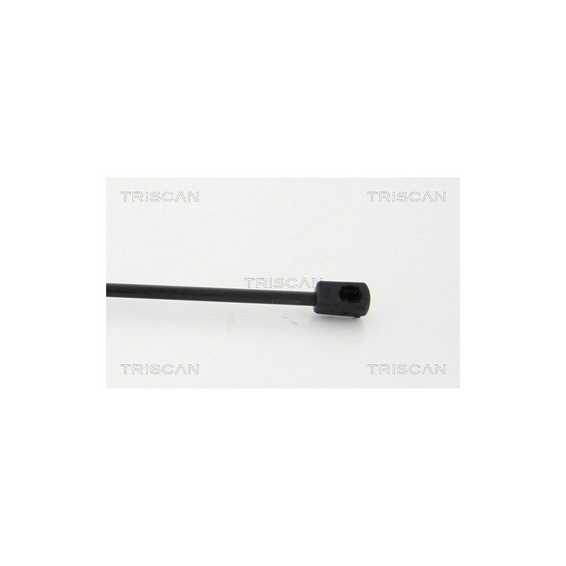 Vérin de coffre / hayon TRISCAN