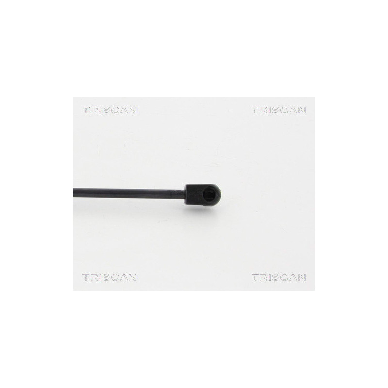 Vérin de coffre / hayon TRISCAN