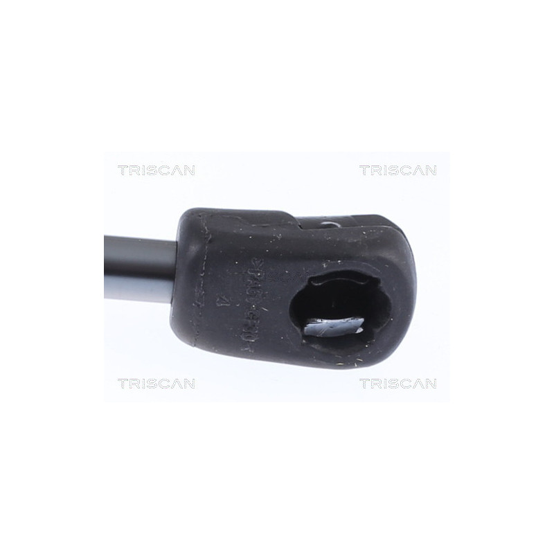 Vérin de coffre / hayon TRISCAN