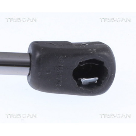 Vérin de coffre / hayon TRISCAN