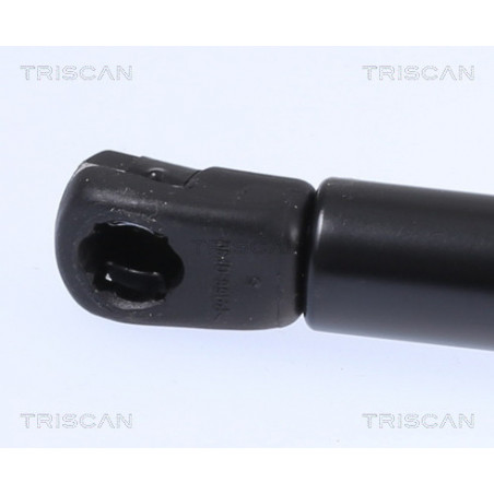 Vérin de coffre / hayon TRISCAN