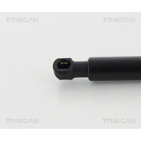 Vérin de capot TRISCAN