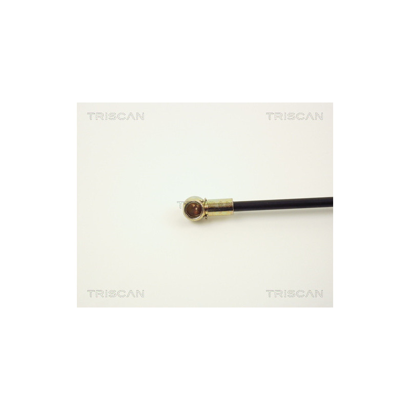 Vérin de coffre / hayon TRISCAN