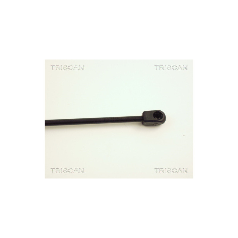 Vérin de coffre / hayon TRISCAN