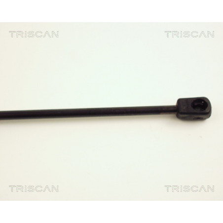 Vérin de coffre / hayon TRISCAN