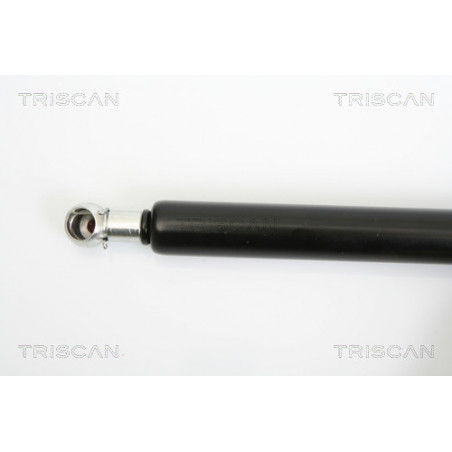 Vérin de coffre / hayon TRISCAN