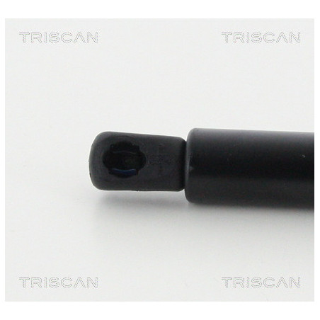 Vérin de coffre / hayon TRISCAN