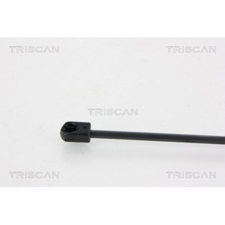 Vérin de coffre / hayon TRISCAN