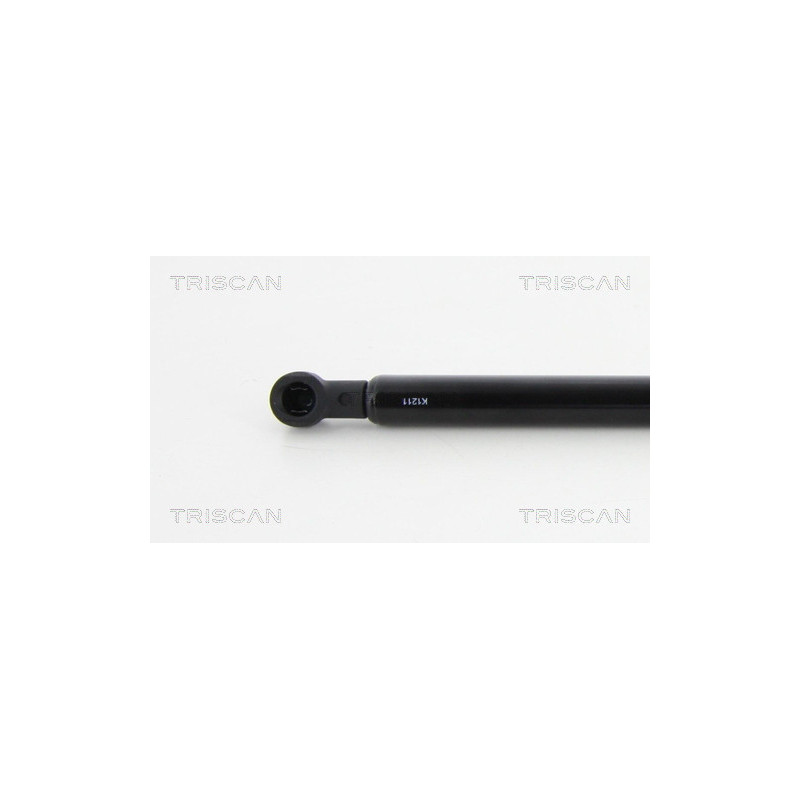 Vérin de coffre / hayon TRISCAN