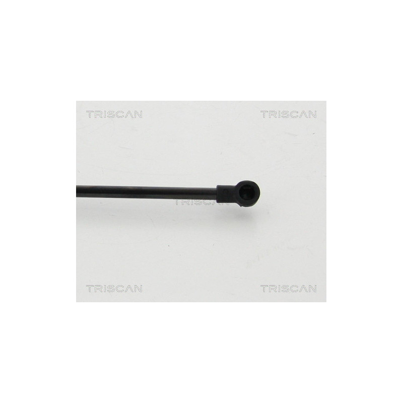 Vérin de coffre / hayon TRISCAN