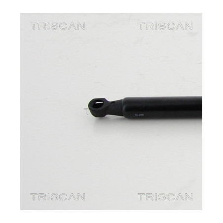 Vérin de coffre / hayon TRISCAN