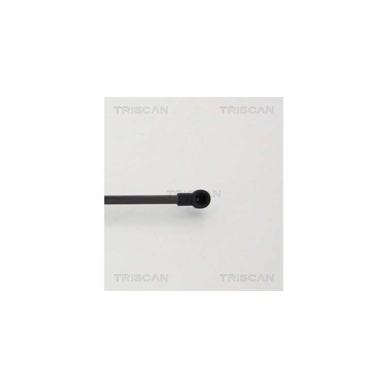 Vérin de coffre / hayon TRISCAN