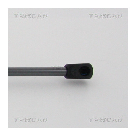 Vérin de coffre / hayon TRISCAN