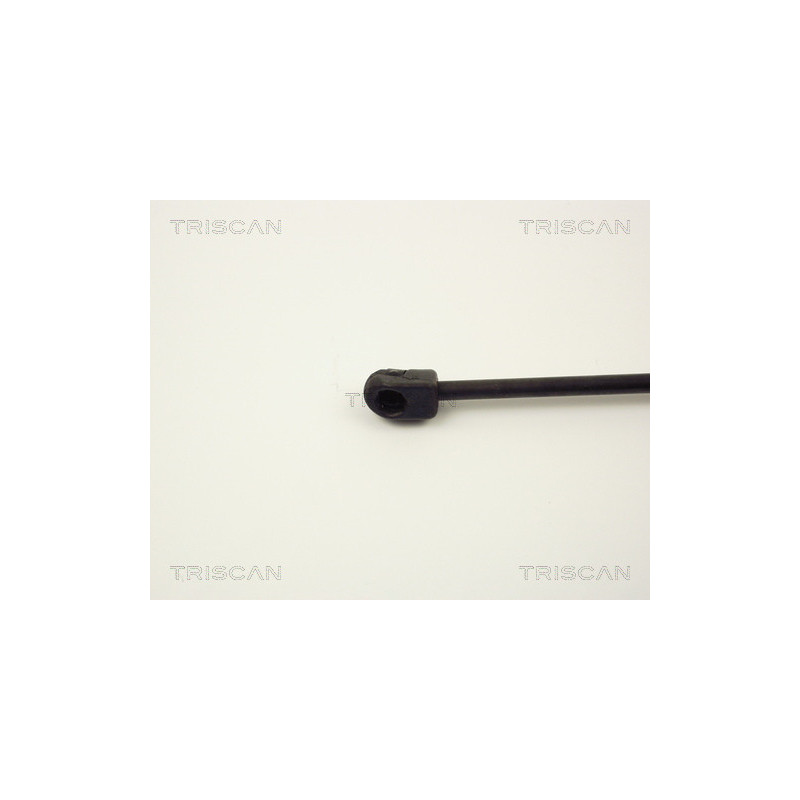 Vérin de coffre / hayon TRISCAN