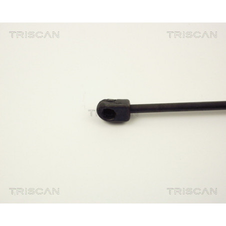 Vérin de coffre / hayon TRISCAN