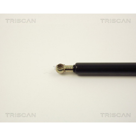 Vérin de coffre / hayon TRISCAN