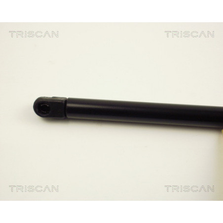 Vérin de capot TRISCAN