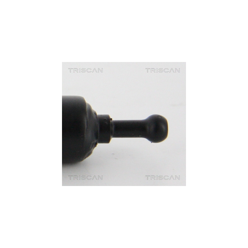 Vérin de capot TRISCAN