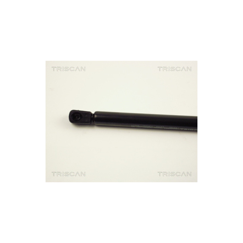 Vérin de coffre / hayon TRISCAN