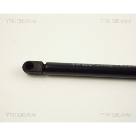 Vérin de coffre / hayon TRISCAN