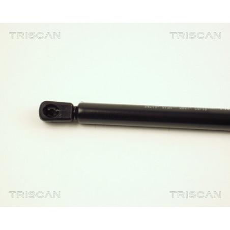 Vérin de coffre / hayon TRISCAN