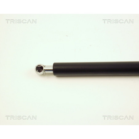 Vérin de coffre / hayon TRISCAN