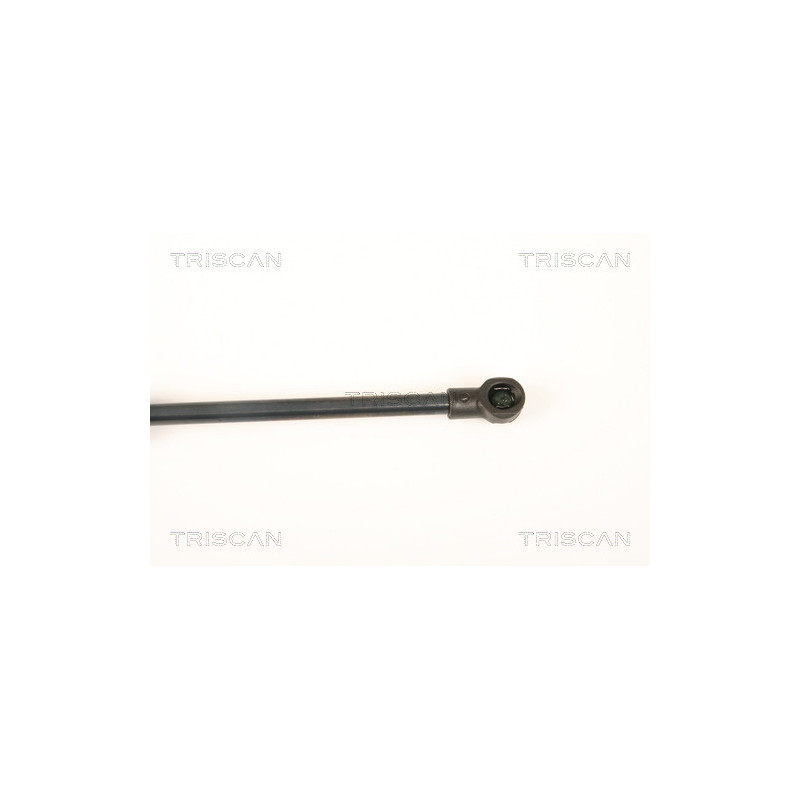 Vérin de coffre / hayon TRISCAN