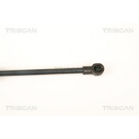 Vérin de coffre / hayon TRISCAN