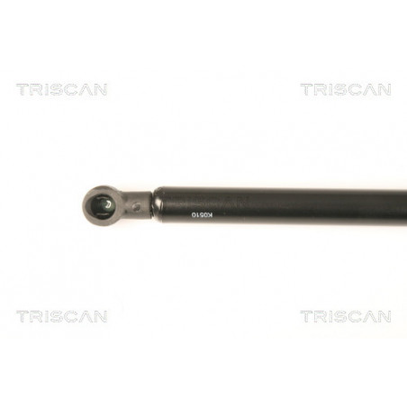 Vérin de vitre arrière TRISCAN