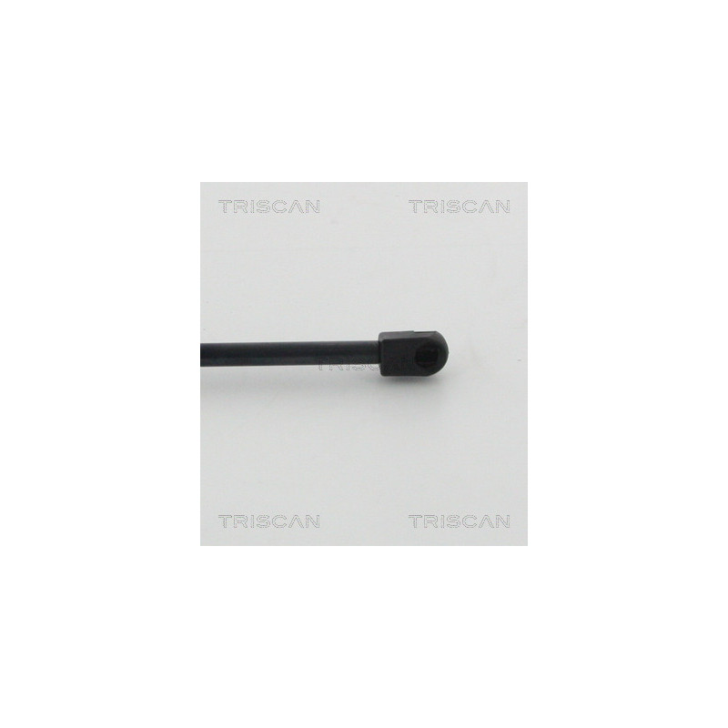 Vérin de coffre / hayon TRISCAN