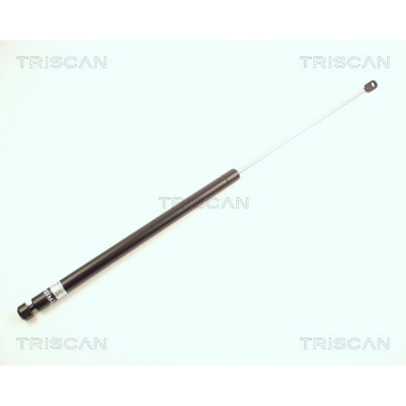 Vérin de capot TRISCAN