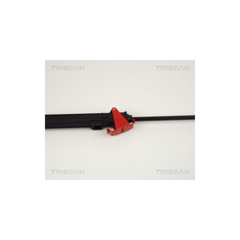 Vérin de capot TRISCAN