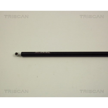Vérin de capot TRISCAN