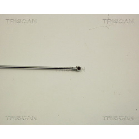 Vérin de capot TRISCAN