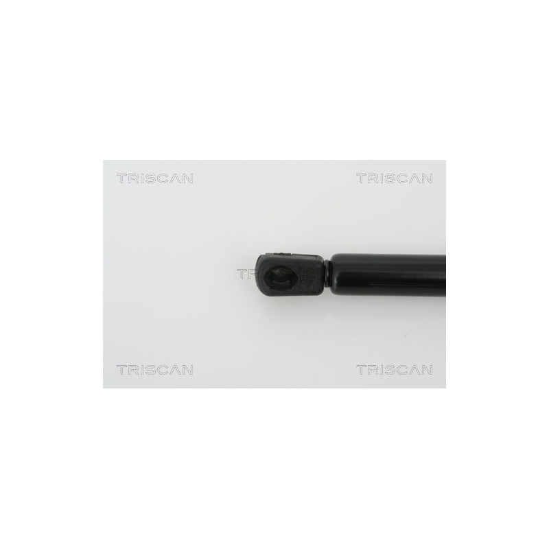 Vérin de capot TRISCAN