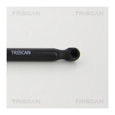Vérin de capot TRISCAN