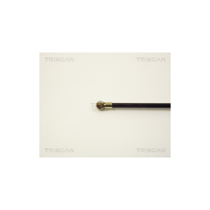 Vérin de coffre / hayon TRISCAN