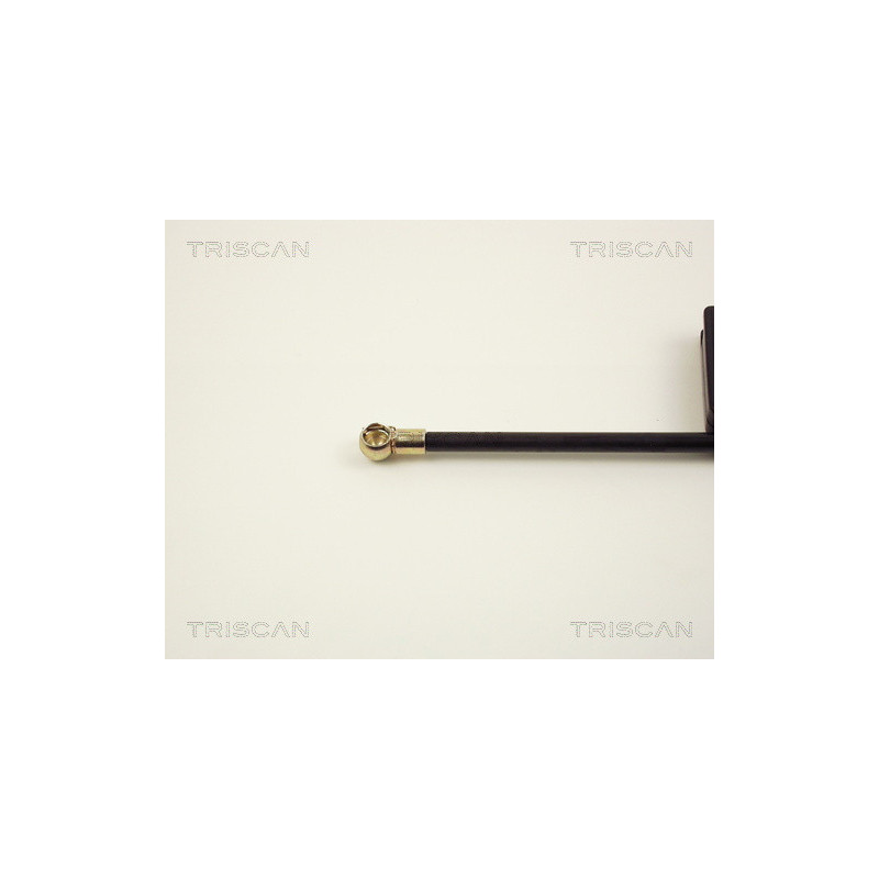 Vérin de coffre / hayon TRISCAN