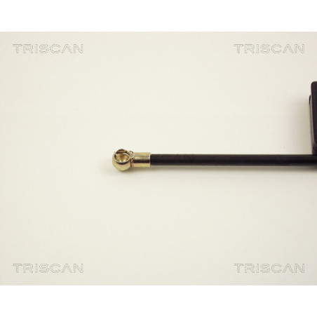 Vérin de coffre / hayon TRISCAN