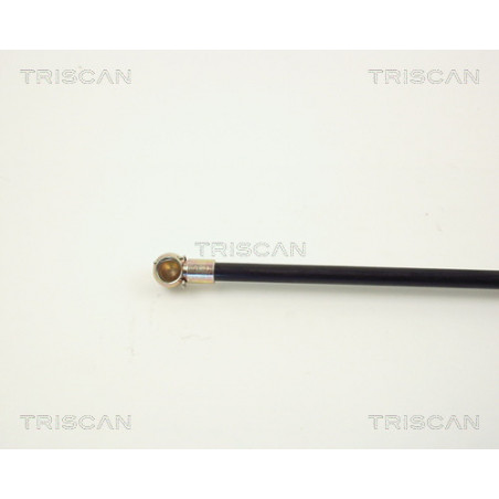 Vérin de coffre / hayon TRISCAN