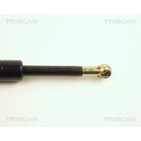 Vérin de coffre / hayon TRISCAN