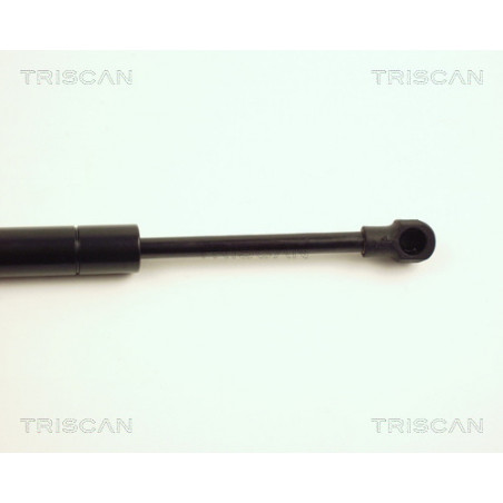 Vérin de coffre / hayon TRISCAN