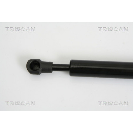 Vérin de coffre / hayon TRISCAN