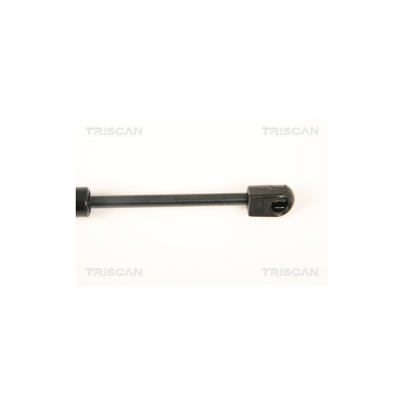 Vérin de coffre / hayon TRISCAN